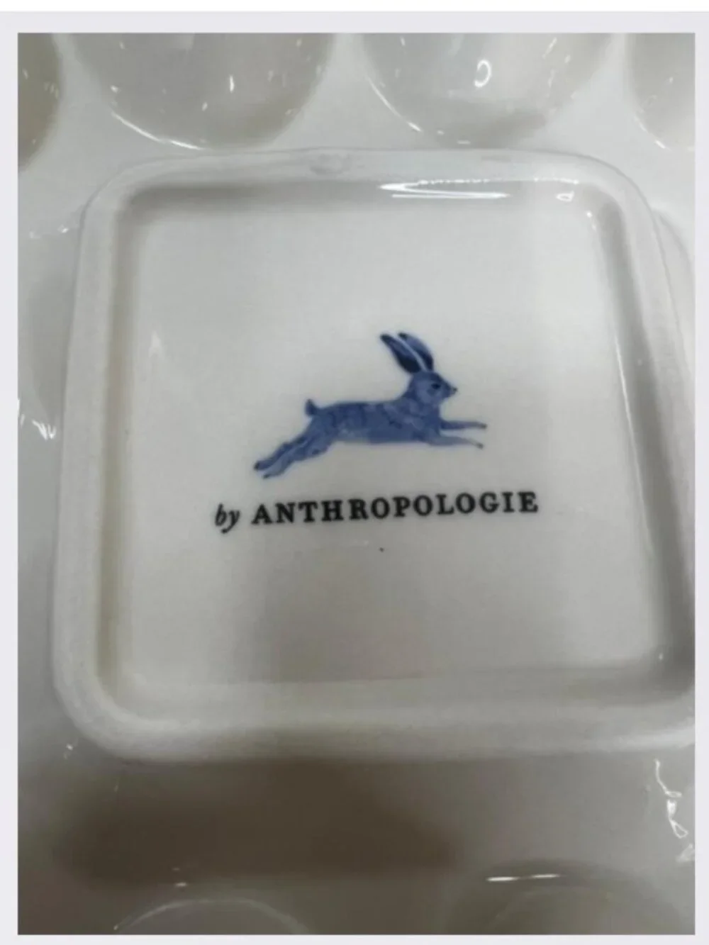 Anthropologie Lexington Stoneware Deviled Egg Platter - NWT in the Box